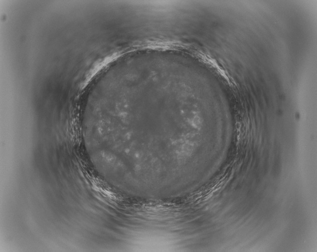 X0000087021256200705071501