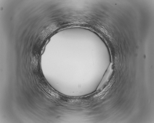 X0000087021257200705071501