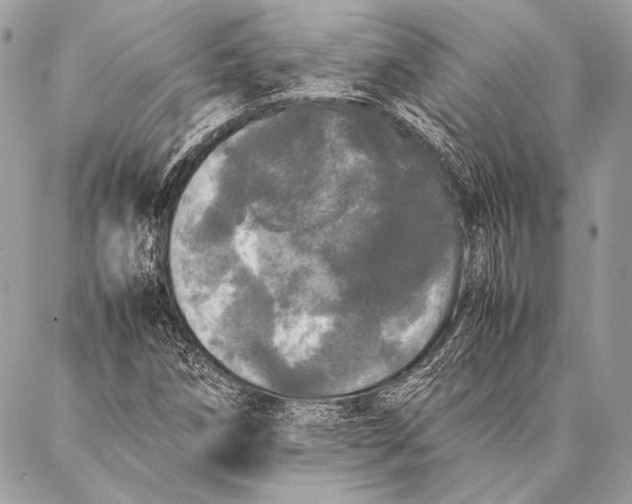 X0000087021258200705071501