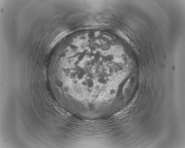 X0000087021259200705071501