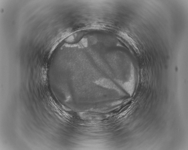 X0000087021260200705071501