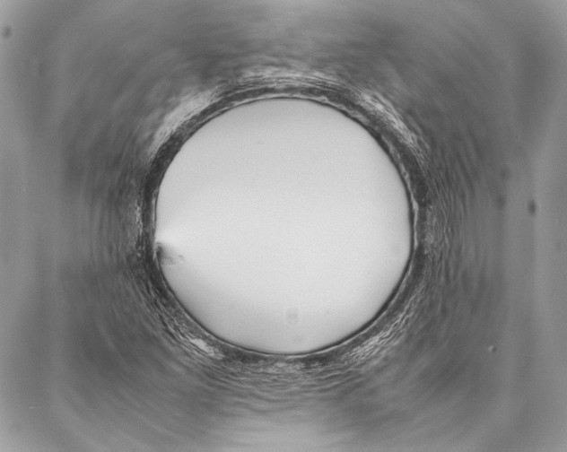 X0000087021261200705071501