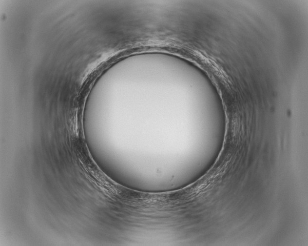 X0000087021262200705071501