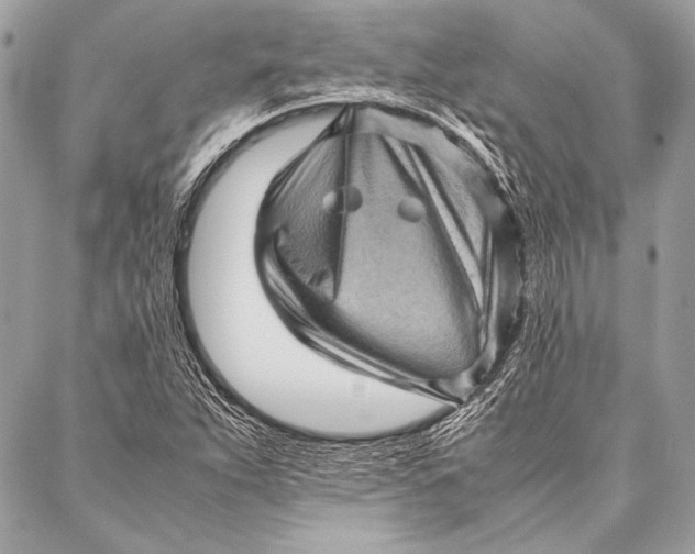 X0000087021263200705071501