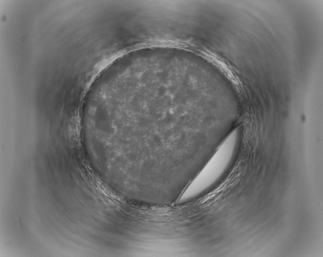 X0000087021264200705071501