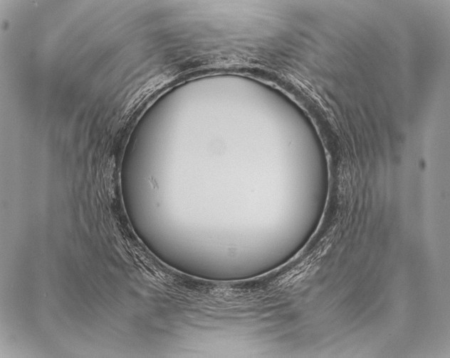 X0000087021265200705071501