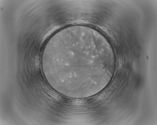 X0000087021266200705071501