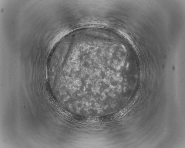 X0000087021267200705071501