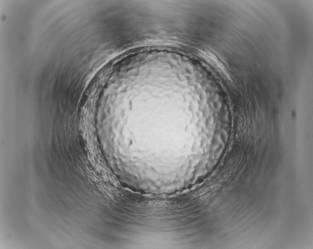 X0000087021268200705071501