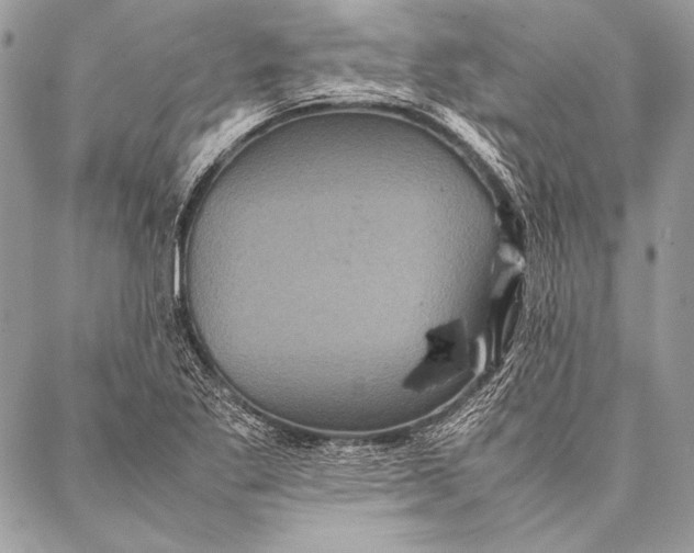 X0000087021269200705071501