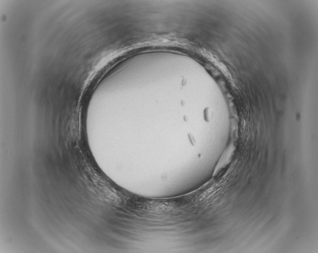 X0000087021270200705071501