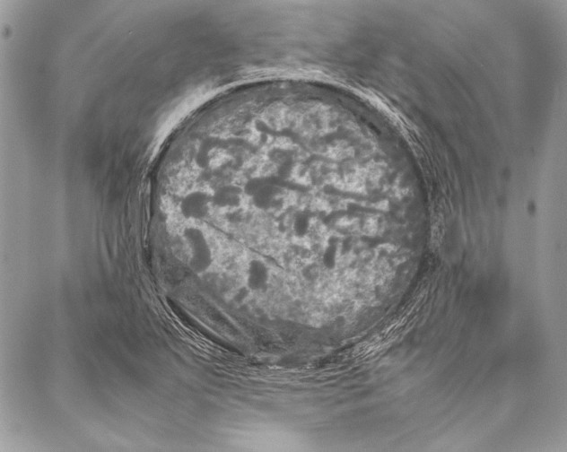 X0000087021271200705071501