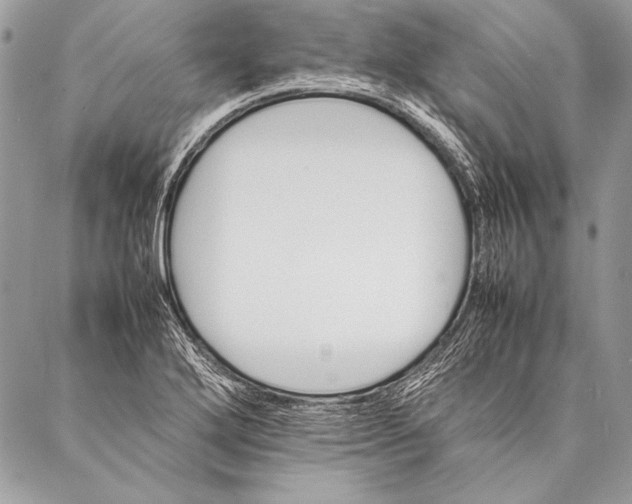 X0000087021272200705071500