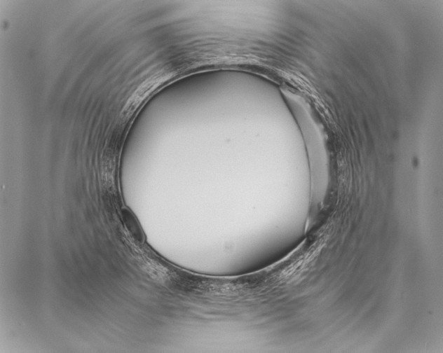 X0000087021273200705071500