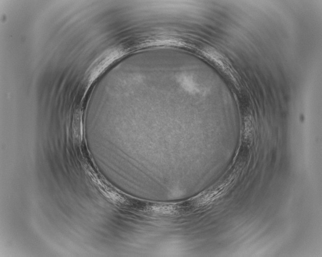 X0000087021274200705071500