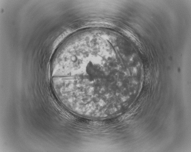 X0000087021275200705071500