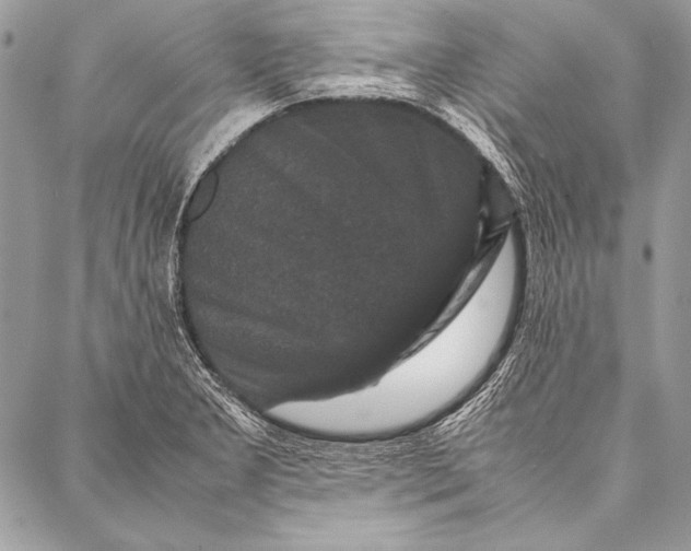 X0000087021277200705071500