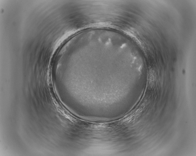 X0000087021278200705071500