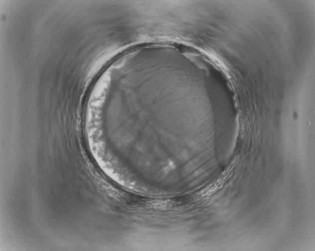 X0000087021279200705071500