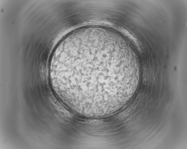 X0000087021280200705071500