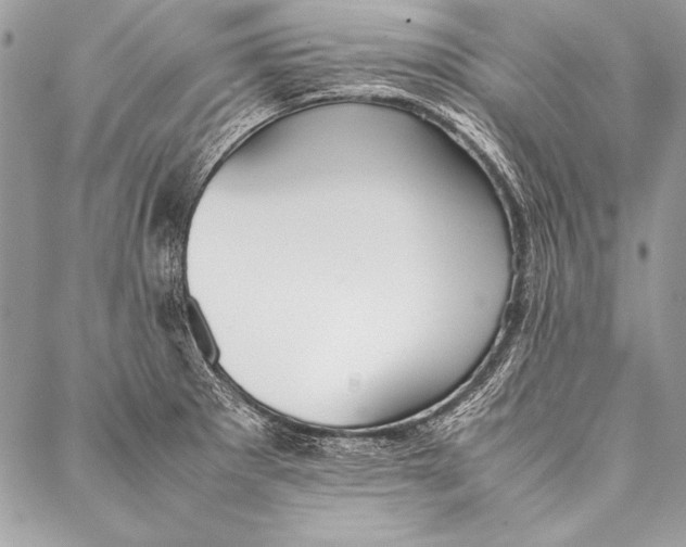 X0000087021281200705071500