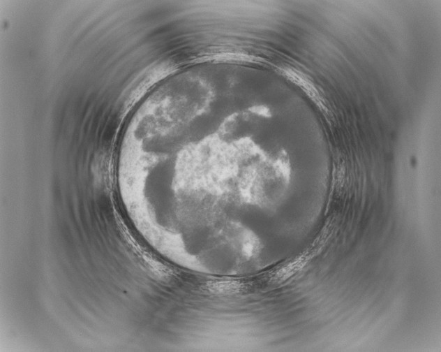 X0000087021282200705071500