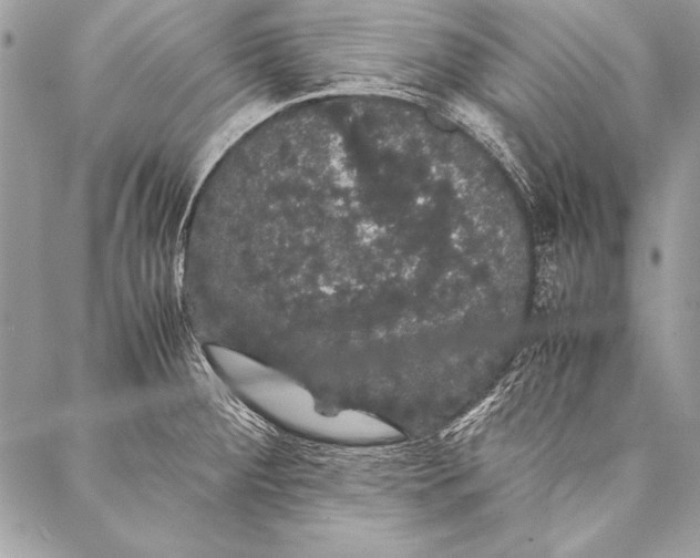 X0000087021284200705071500