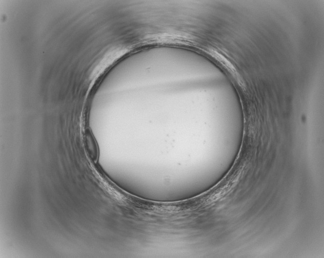 X0000087021285200705071500