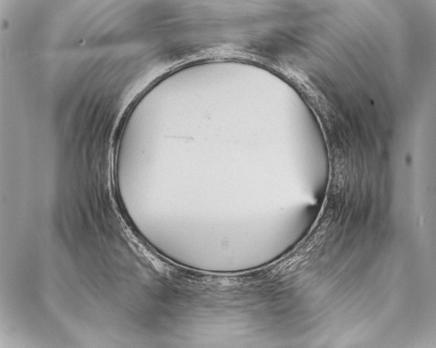 X0000087021286200705071500