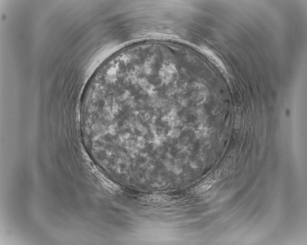 X0000087021287200705071500