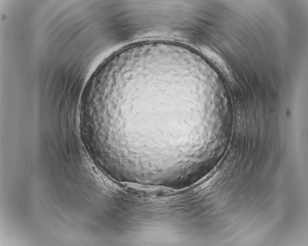 X0000087021288200705071500