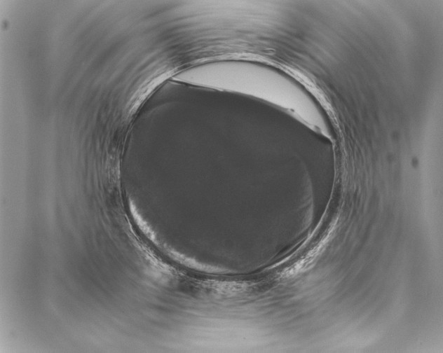 X0000087021289200705071500