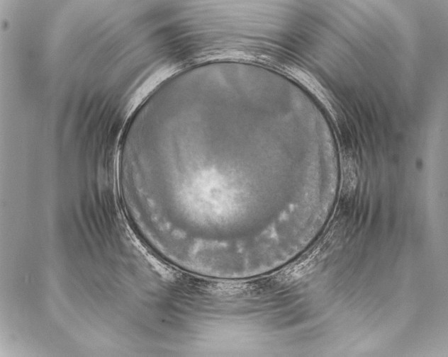 X0000087021290200705071500