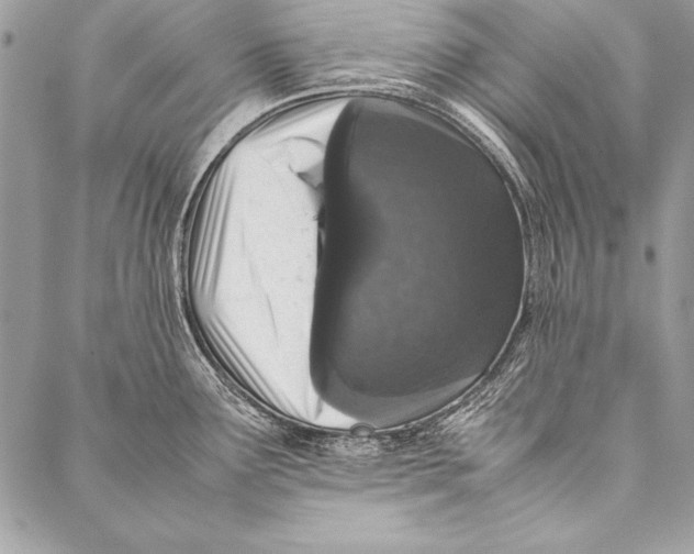 X0000087021291200705071500