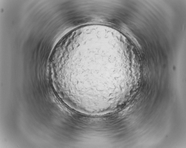 X0000087021292200705071500