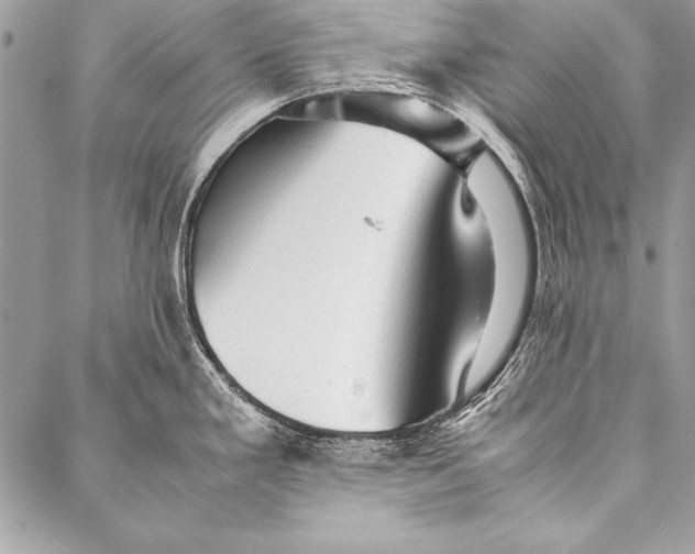 X0000087021293200705071500