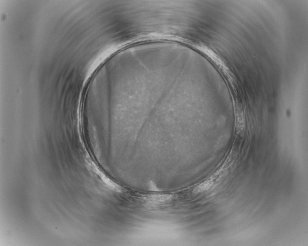 X0000087021294200705071500