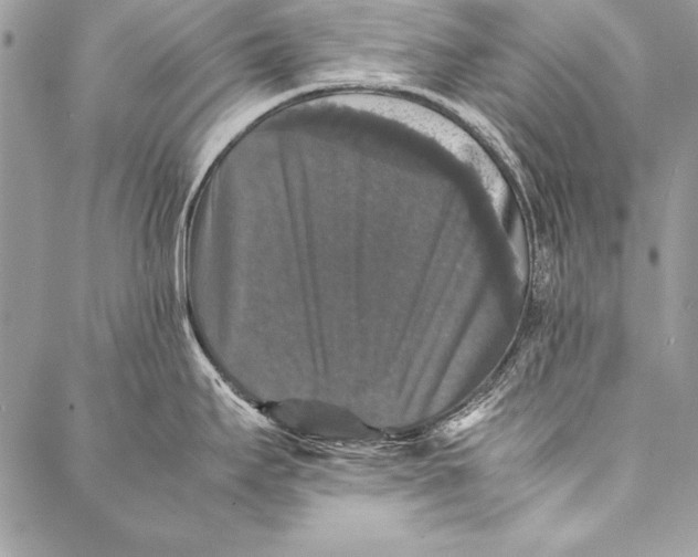 X0000087021295200705071500