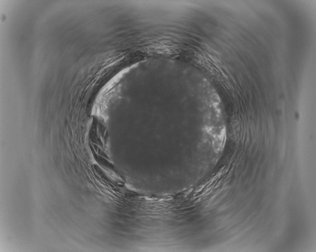 X0000087021297200705071459