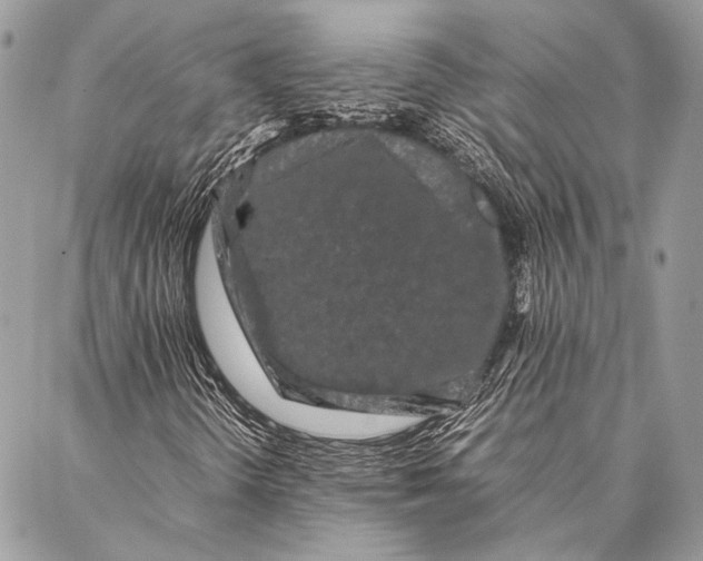 X0000087021298200705071459