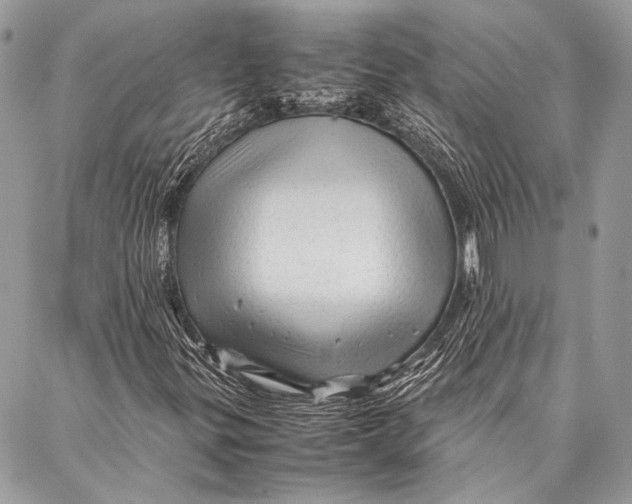 X0000087021299200705071459