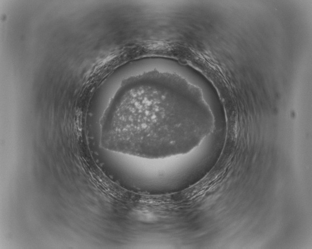 X0000087021301200705071459