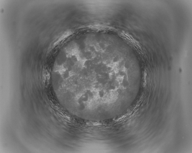 X0000087021302200705071459