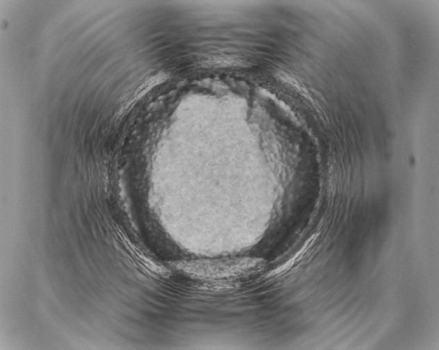 X0000087021305200705071459