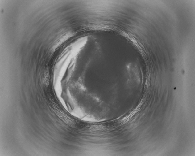 X0000087021306200705071459