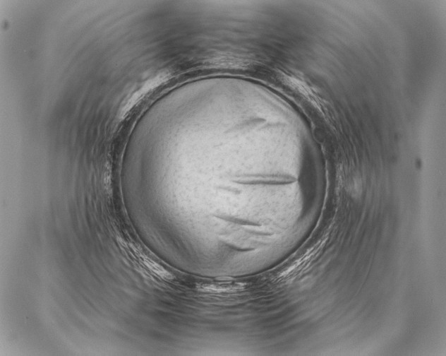 X0000087021307200705071459