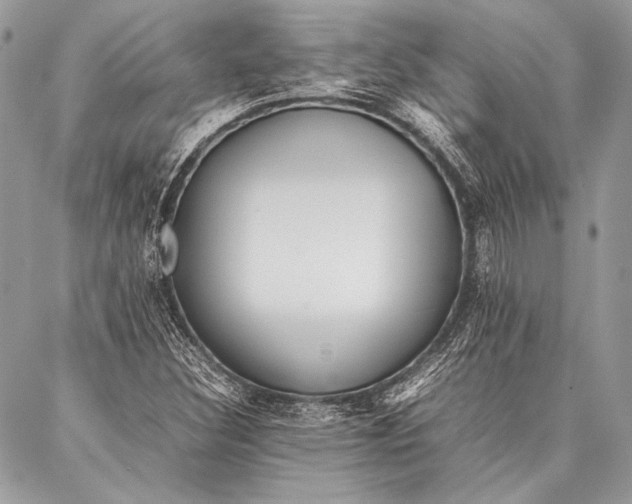 X0000087021308200705071500