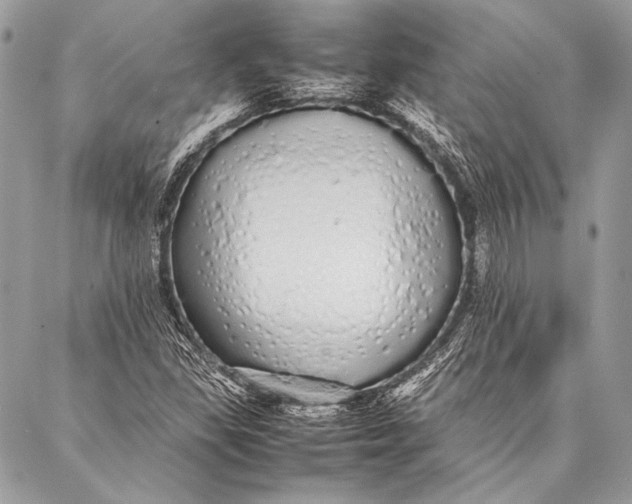 X0000087021309200705071500