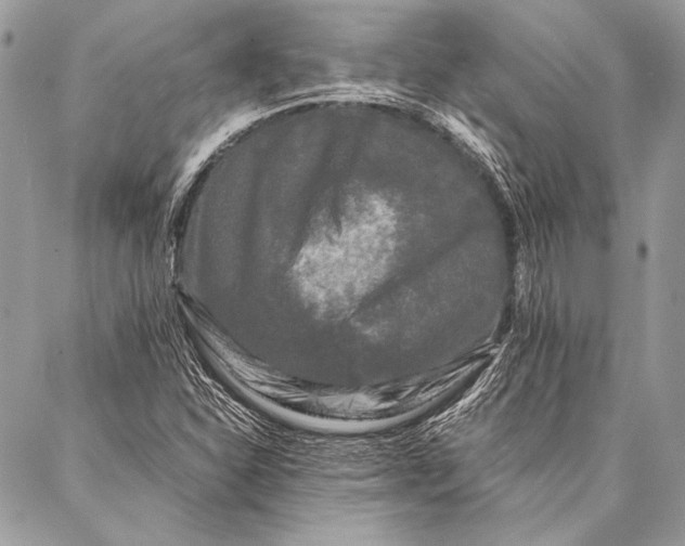 X0000087021310200705071500