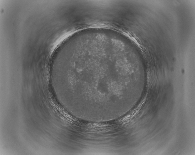 X0000087021311200705071500